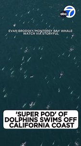 118K views · 2.5K reactions | A miles-long cluster of dolphins has been filmed off the coast of California, forming an unusual "super pod" of more than 1,500 marine creatures. | ABC7 | Facebook