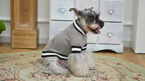 KOOLTAIL Medium Dog Sweater Winter Clothes - Knitwear Soft Cold Weather Coat with Pocket, Pet Fleece Sweatshirt Shirt Pullover Outfit for Doggie Small Medium Large Dogs Puppy Cats Girls Boys Grey ML