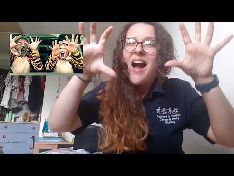 ROAR - Makaton Singing Hands for BDCPS