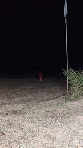 141K views · 1K reactions | Malti Chouhan मालती चौहान की आत्मा ने कहा नाम और चेहरे याद है बदला जरूर लूंगी #maltichouhan TheRjvlogs #jitendramarothiya #doorofdeath #omvlogs #maltichauhan #vishnu #aatma #vishnurajfun #veenamanvi #paranormal #maltichuhanvlog #maltivishnunews #gorakhpur #therjvlogs #vishnurajchauhan #malti #viral #comedy #Haunted #maltichauhan | After Dark Horror | Facebook