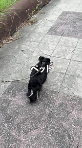 あなただけのお気に入りのお部屋を見つけよう!! | いい部屋ネット