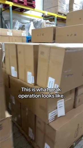 From Container to Pallets in Minutes #shorts