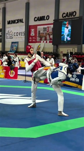 Daedo Taekwondo Gear | Premium WT Approved Equipment Available at IKL Store