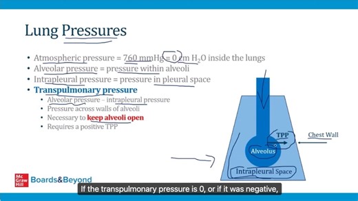 Pulmonary-4-Pulmonary Physiology I