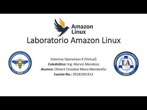 Lab amazon linux