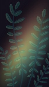 Pierce County Library on Reels | Facebook