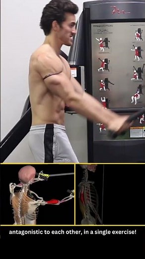 Use This ANTAGONISTIC Biceps & Triceps Technique 💪 (Antagonistic Training Optimizes Muscle Growth)