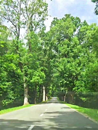 🏞️#beautiful#road#Poland#trip#driving#rzeka życia#pov#AvalYn eM