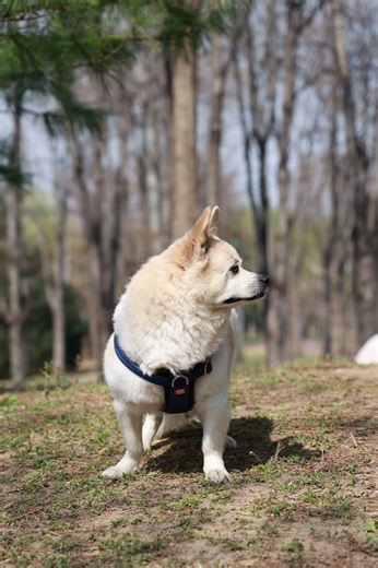 Spring Park Photography | Natural Light & Manual Mode #SpringPhotography #NatureLight #travel