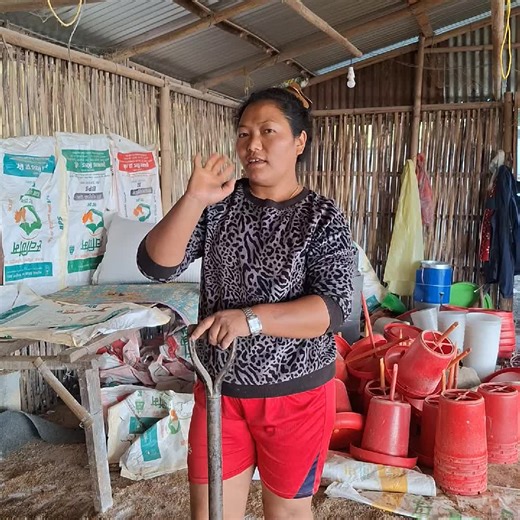 Organic Chicken Farm: Sustainable Farming Practices