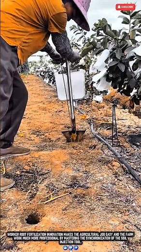 Worker injecting liquid fertilizer into the root zone for efficient crop production results