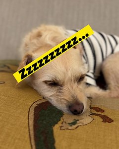 New moby pod where we write a country western song from scratch, based on a suggestion from our friend Brando￼.. | Moby