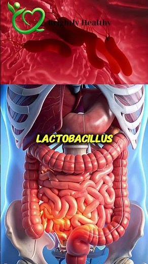 The Gut-Healing Power of Greek Yogurt and Vegetables