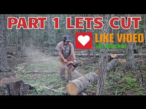 Archer Titanium Chainsaw Chain. NeoTec 872. #chainsawman #inspiration #axes #fun #archerplus