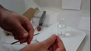 1 Foot of Nitinol Memory Wire, with Teachers Guide