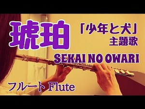 琥珀/ SEKAI NO OWARI 映画『少年と犬』主題歌【フルートで演奏してみた】"Kohaku" セカオワ 2025年