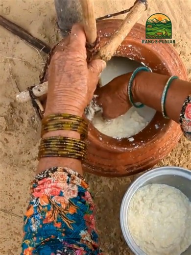 Exploring Simple Village Life in Punjab