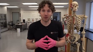 The Limits of the Human Stomach: How Much Can It Really Hold?