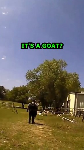 36K views · 690 reactions | Enid Police Responding to Cries for Help Stunned by Sad Goat #CopHumor #Police #Reels #Goat | CopHumor_ | Facebook
