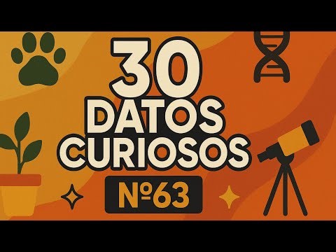 30 Curiosidades que No Sabías🤯😱-- #63