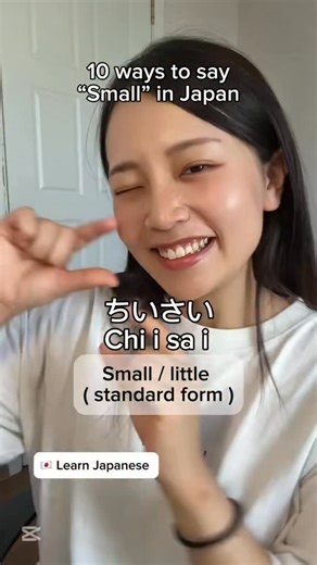 Nihongodeasobou on Instagram: "Did you know Japanese has so many cute and regional ways to say “small”? From the standard “chiisai”, to the casual “chicchai”, and even the dialectal “chiccoi” — each one has its own charm and nuance. These words all mean “small,” but the feeling changes depending on region, tone, and who you’re talking to. It’s one of the things that makes Japanese sound so expressive and warm. Which one do you like the most? After learning, you can review and memorize these expr