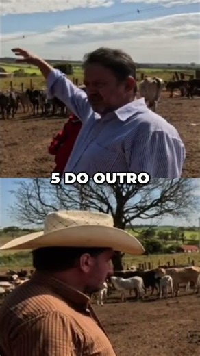 Comprando Vacas: Dificuldades e Estratégias de Mercado #shorts