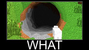 Wait What Minecraft Meme – part 183