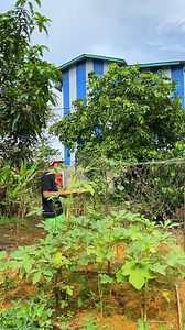 Denis Matthew Channel on Reels