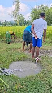 527K views · 1.4K reactions | The hole is filled with water. | Village Fun 13 | Facebook