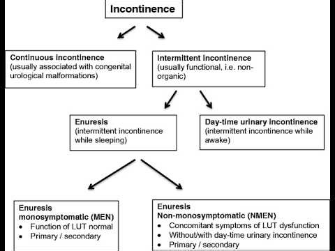 monosymptomatic enuresis And nonmonosymptomatic enuresis (bedwetting)
