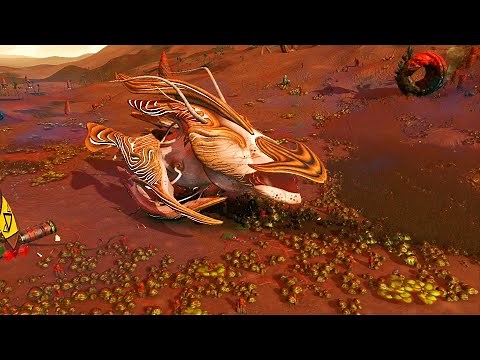 Komplette Questreihe "Sterngeburt" [Guide] - No Man's Sky Living Ships [Deutsch/German]