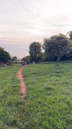 TWIGA on Instagram: "COWS GOT BEAUTIFUL NAMES TOO 💐💐🌺💐🌺"