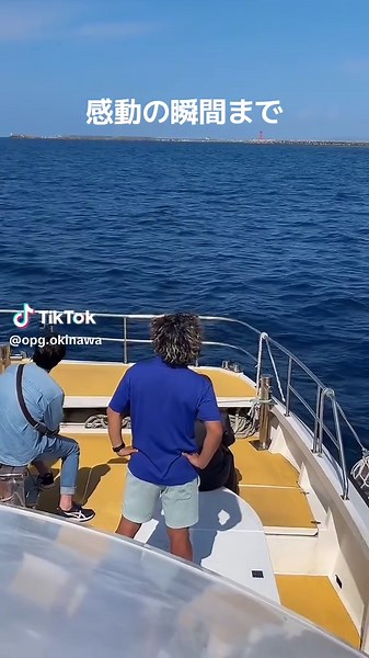 沖縄でのホエールウォッチング体験