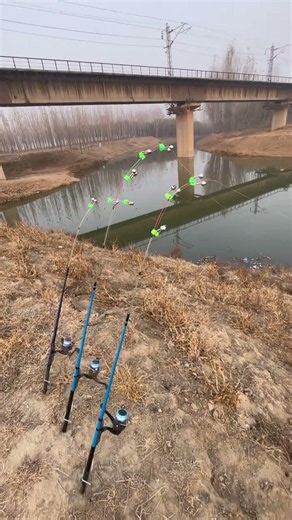 Cần câu cắm tự động dưới cầu #fishing #shorts