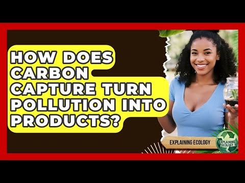 How Does Carbon Capture Turn Pollution Into Products? - Explaining Ecology