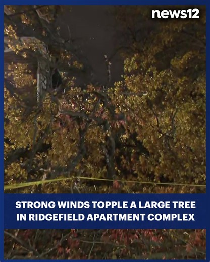 DAMAGING WINDS: Damaging winds cut power to thousands, and a Ridgefield home was hit by a falling tree during the windstorm. https://bit.ly/4oUM7lu | News 12 New Jersey