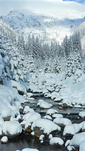 🏞 Romania — the hidden gem you didn’t know you needed to explore. Wild mountains, deep forests, crystal lakes and breathtaking viewpoints, nature here isn’t just scenery — it’s an experience. 🌲🏔️ If you’re looking for a place that still feels raw, authentic, and untouched, Romania is calling. Pack your curiosity. Bring your sense of adventure. Discover the beauty that stays with you long after you leave. 🌿 Romania’s nature is waiting. Are you ready to explore it?