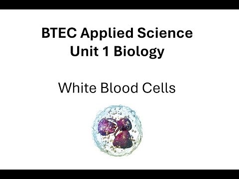 BTEC Applied Science: White Blood Cells