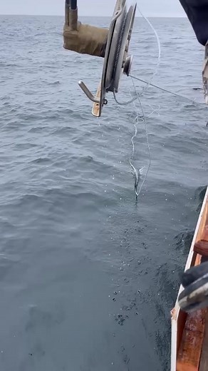 Crabbing with Ambush XLH Hoop Net in Northern California