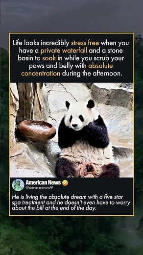 PANDA SPA DAY IN A WATERFALL