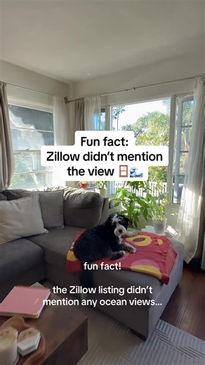 Stunning Ocean View Surprise from My New Living Room