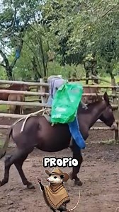 El TRUCO para AMANZAR | El Guache