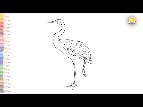 Australian Brolga bird drawing easy | How to draw Australian Brolga step by step | Outline drawings