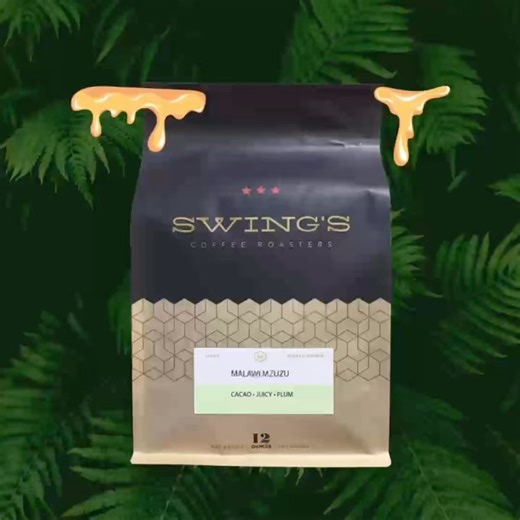 Swings Coffee on Instagram: "🚨New Coffee Alert 🚨 Malawi Mzuzu AA Plus comes to us from the Mzuzu Coffee Planters Cooperative Union Limited, a 2007 rebranding of the Mzuzu Coffee Planters Cooperative Union Limited. The original collection of smallholder projects was founded in the 1980s by the Commonwealth Development Corporation. Presently, the Union represents 2,700 small-scale farmers, over 30% of whom are women farmers. The harvest season for these cooperatives range from June