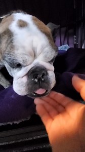 23K views · 2.8K reactions | Little Moira is very sick. We honeslty...