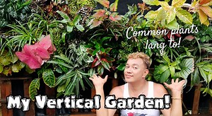 12K views · 500 reactions | "Vertical Garden" ...My first attempt,...