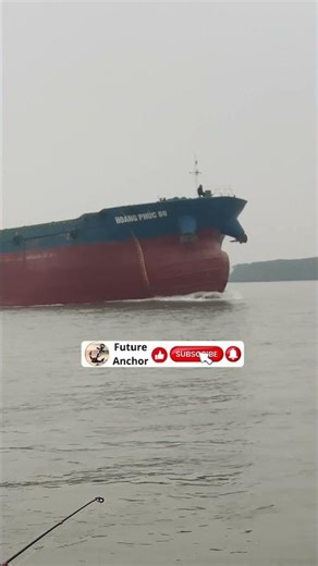 The giant ship is floating on the river.#ship #container