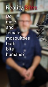 Do both male and female mosquitoes bite us…? Let’s discuss with Associate Professor Cameron Webb 🦟 More on mosquitoes here: https://www.health.nsw.gov.au/mosquitoes | NSW Health