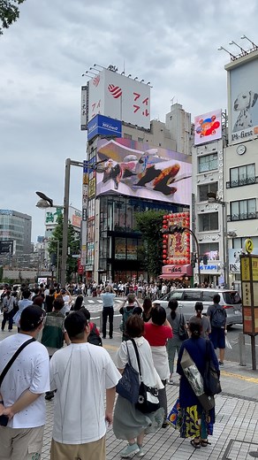 9.5K views · 196 reactions | Cute lazy 3D Cat in Shinjuku, Tokyo - Japan  (35 degrees in Tokyo today掠掠) #japan #summer #tokyo | LIFE of JAPAN 日本の生活 | Facebook