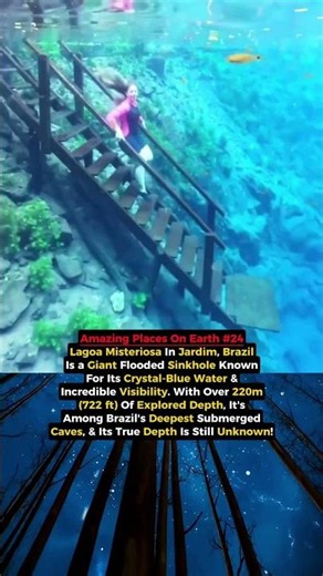 This Lagoon in Brazil Looks Impossible🤯 #nature